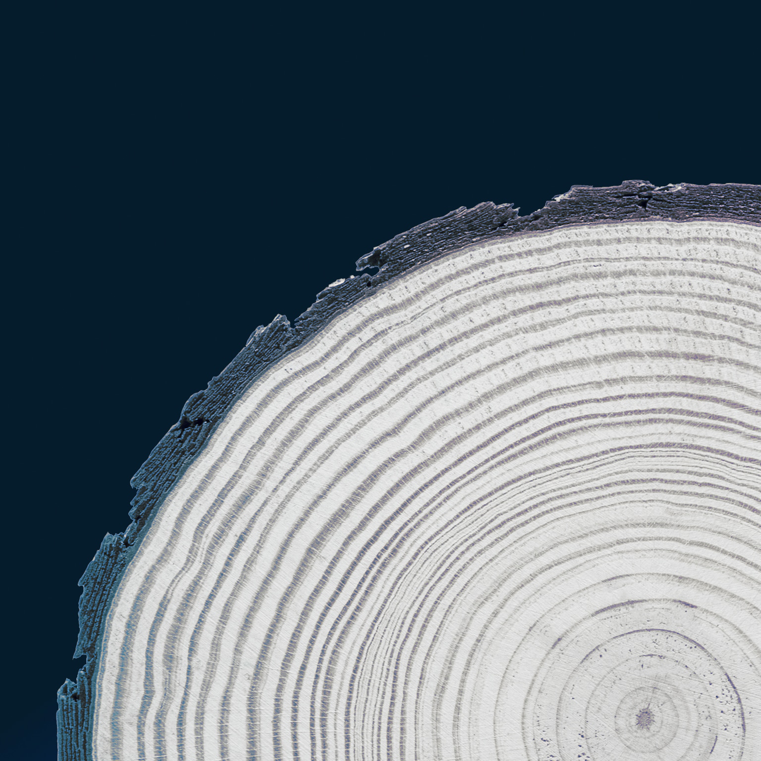 Paper & Forest Products consulting McKinsey & Company Paper, Forest